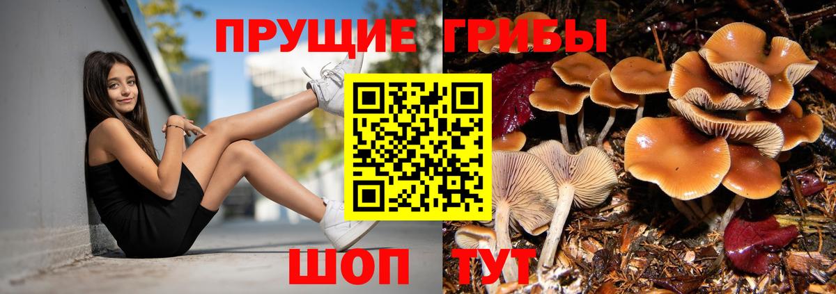 Псилоцибиновые грибы мицелий Алапаевск